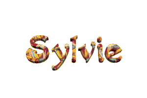 Signature : SYLVIE