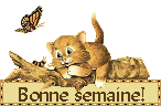 Bonne semaine avec que des chats !