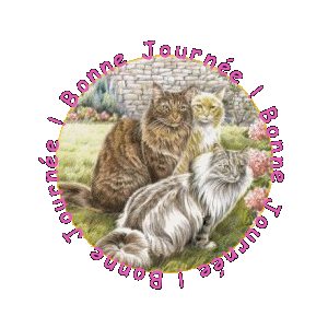 BONNE JOURNEE AVEC QUE DES CHATS !