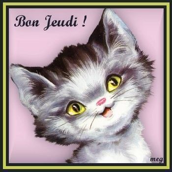 Résultat de recherche d'images pour "bon jeudi chat"